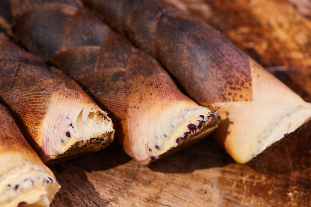Crema di Bambù